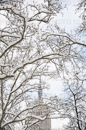 USA, New York, New York City, Empire State Building behind branches covered with snow.