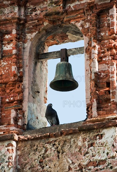 Puerto Rico, Old San Juan, pigeon perched on bell tower.