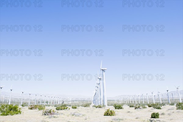 USA, California, Palm Springs, Coachella Valley, San Gorgonio Pass, Wind turbines against blue sky. Photo : Jamie Grill Photography