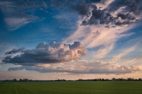 USA, Oregon, Marion County, Cloudy sky over field. Photo : Gary Weathers