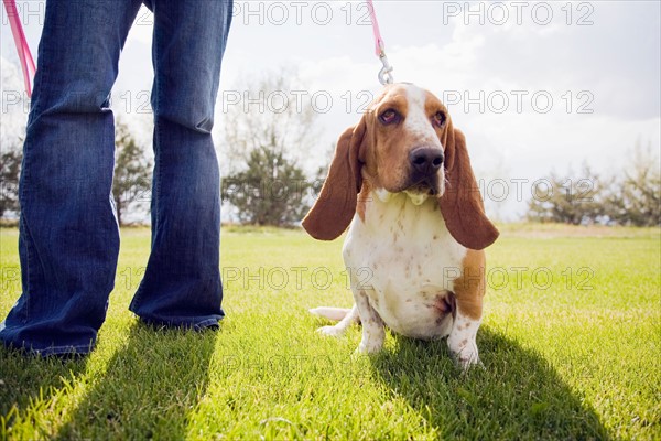 Woman with dog on lawn. Photo : Maisie Paterson