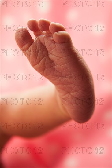 Close-up of foot of newborn girl (0-1months) . Photo : Mike Kemp