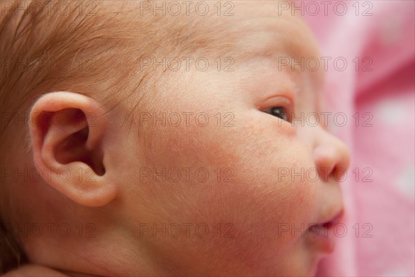 Portrait of newborn girl (0-1months) . Photo : Mike Kemp