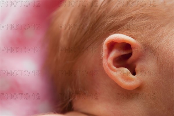 Close up of newborn girl's (0-1months) ear. Photo : Mike Kemp