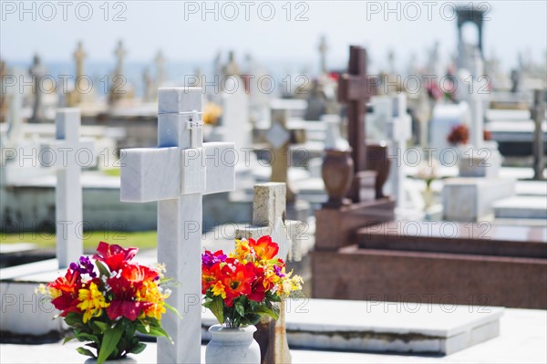 Puerto Rico, Old San Juan, Garves at Santa Maria Magdalena Cemetery.