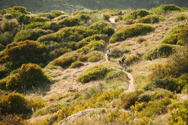 USA, California, Laguna Beach, Mountain bikers on trail.