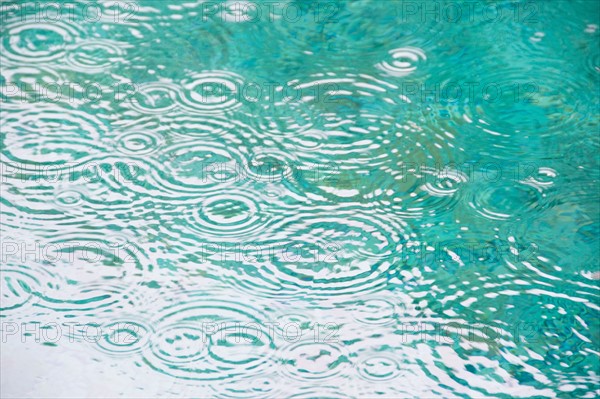 Raindrops on falling on pond surface. Photo : Jamie Grill Photography