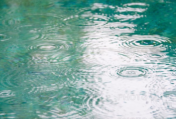Raindrops on falling on pond surface. Photo : Jamie Grill Photography