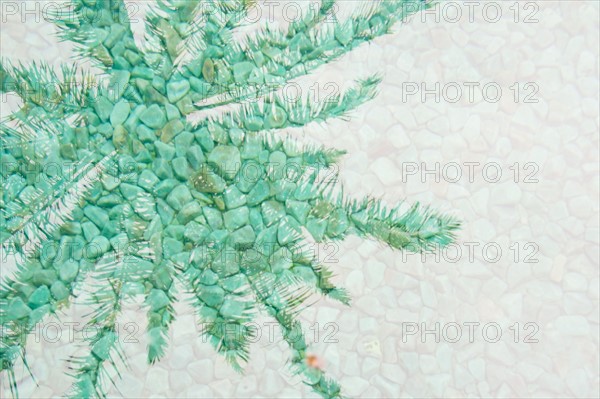 Leaves reflecting in pond. Photo : Jamie Grill Photography