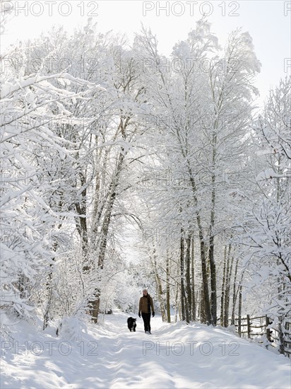 USA, Colorado, woman and dog on snowy road. Photo : John Kelly