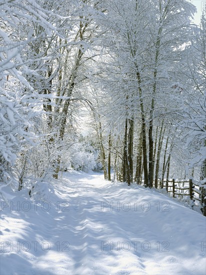 USA, Colorado, snowy road. Photo : John Kelly