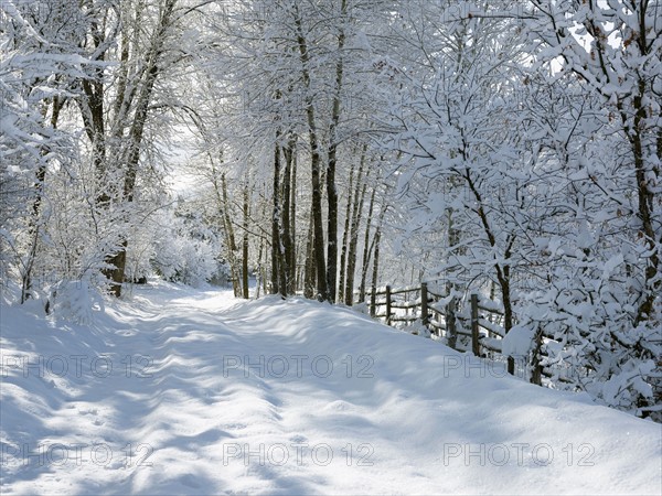 USA, Colorado, snowy road. Photo : John Kelly