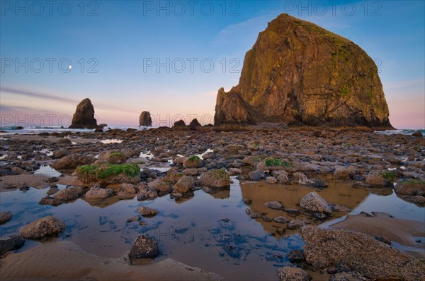 USA, Oregon, Clatsop County, Haystack Rock. Photo : Gary Weathers