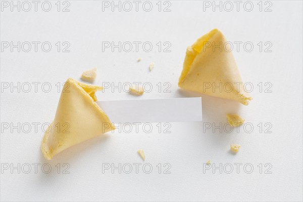 Fortune Cookie on white background. Photo : Chris Hackett