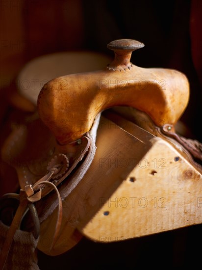 Saddle ion wooden stand. Photo : John Kelly