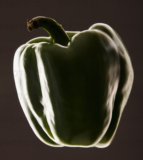 Studio shot of green bell pepper. Photo : Mike Kemp