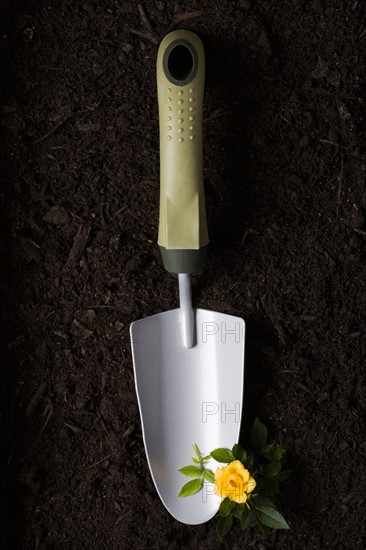 Studio shot of trowel and flower on ground. Photo : Kristin Lee