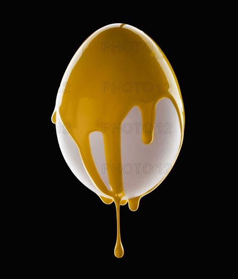 Studio shot of egg covered with yellow paint. Photo : Mike Kemp