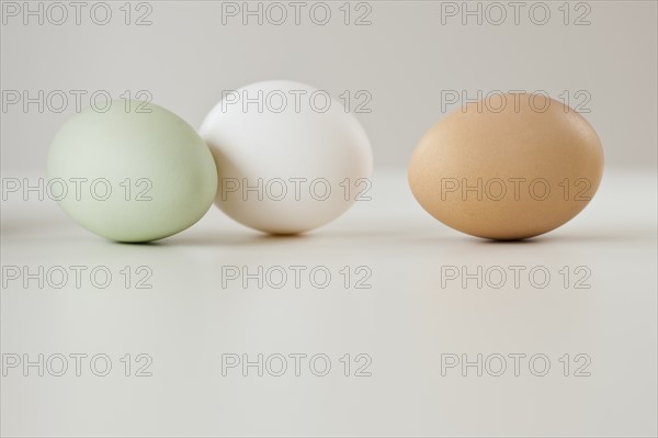 Close up of animal eggs in row.