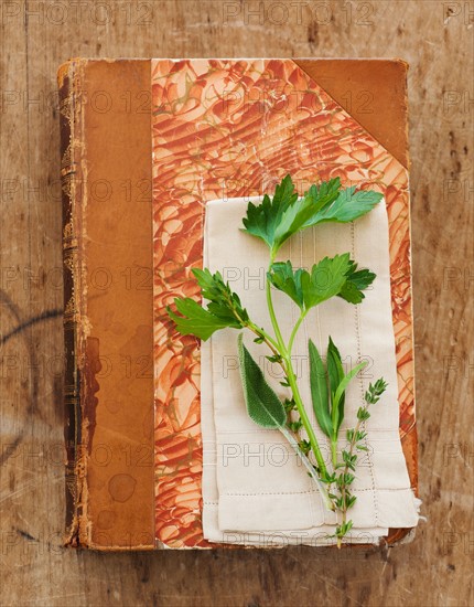 Leaf on antique journal.