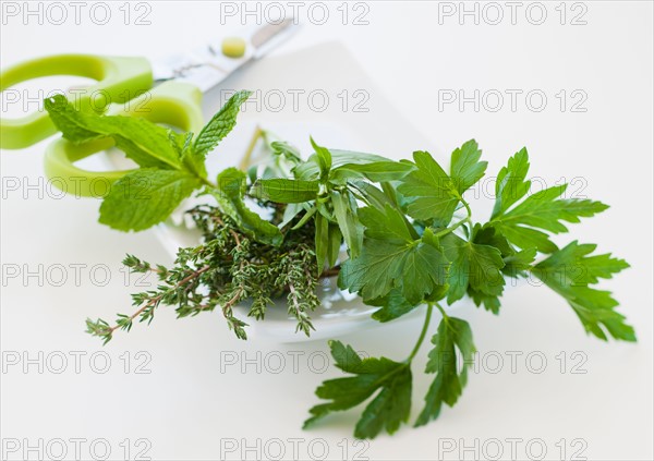 Fresh herbs on plate with scissors.