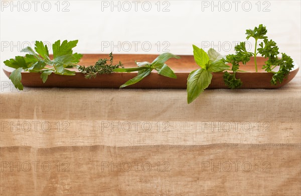 Fresh herbs on plate.