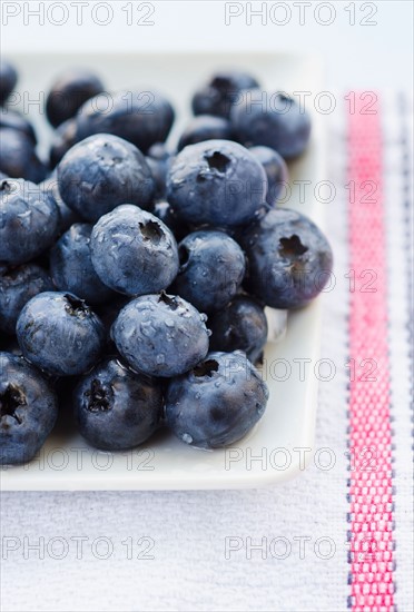 Studio shot of blueberries.