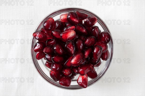 Studio shot of pomegranate (Punica granatum) seeds in bowl. Photo : Winslow Productions