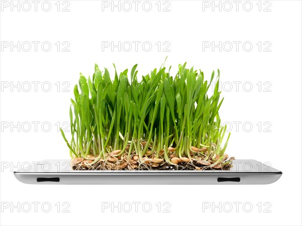 Studio shot of grass growing on digital tablet. Photo : David Arky