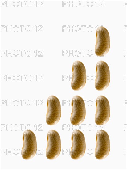 Studio shot of White Bean Seed on white background. Photo : David Arky