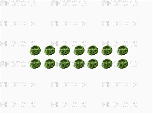 Studio shot of Pea Seeds on white background. Photo : David Arky