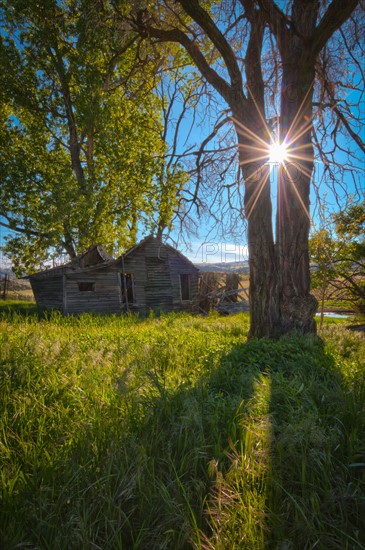 USA, Oregon, Mitchell, View of old house. Photo : Gary J Weathers