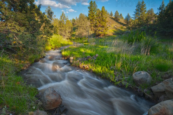 USA, Oregon, Kimberly, Scenic view of Rushing Creek. Photo : Gary J Weathers