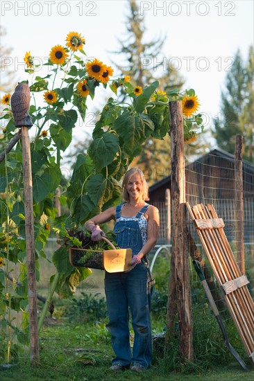 USA, Montana, Whitefish, Mid adult woman in her garden. Photo: Noah Clayton
