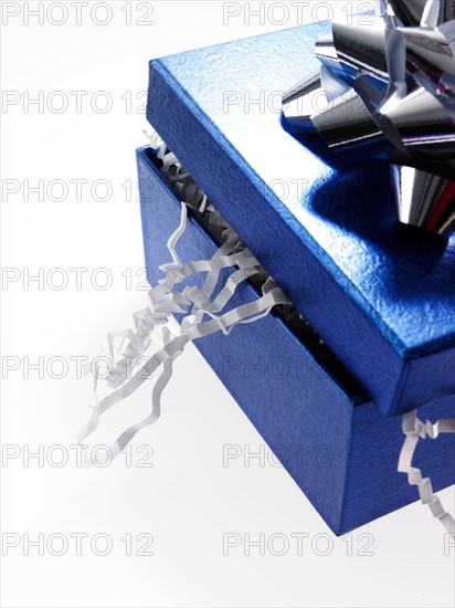 Studio shot of Blue Ribbon and Blue Box on white background. Photo : David Arky