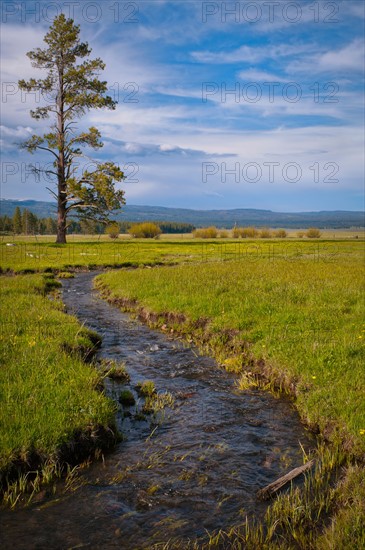 USA, Oregon, Scenic view of stream going through meadow. Photo : Gary J Weathers