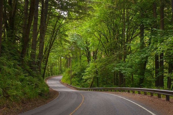 USA, Oregon, Yamhill County, Newberg, View of Wilsonville Highway. Photo : Gary J Weathers