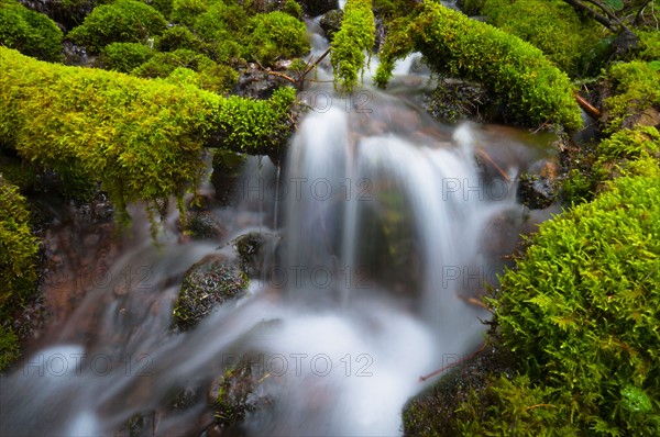 USA, Oregon, Mount Jefferson Wilderness, Scenic waterfall. Photo : Gary J Weathers