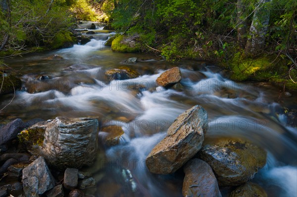 USA, Oregon, Hood River County, Scenic view of Elk Creek. Photo: Gary J Weathers