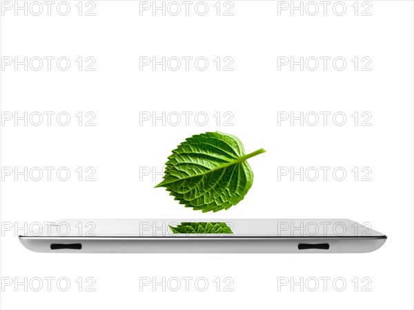 Studio shot of leaf over digital tablet. Photo: David Arky