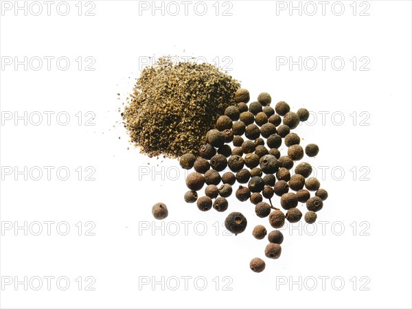 Studio shot of Nutmeg Powder and Whole Nutmeg on white background. Photo : David Arky