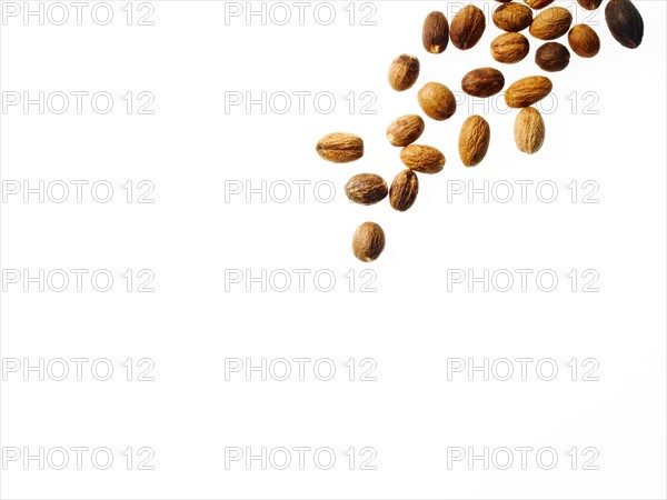 Studio shot of nutmeg. Photo : David Arky