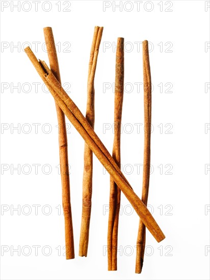 Studio shot of cinnamon sticks. Photo : David Arky