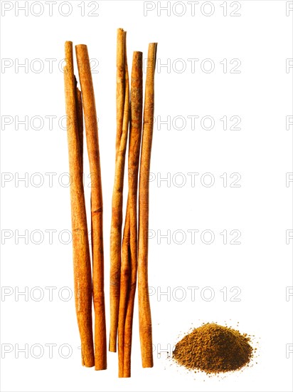 Studio shot of cinnamon sticks. Photo : David Arky