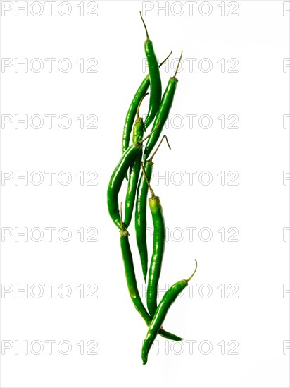 Studio shot of green chili peppers. Photo: David Arky