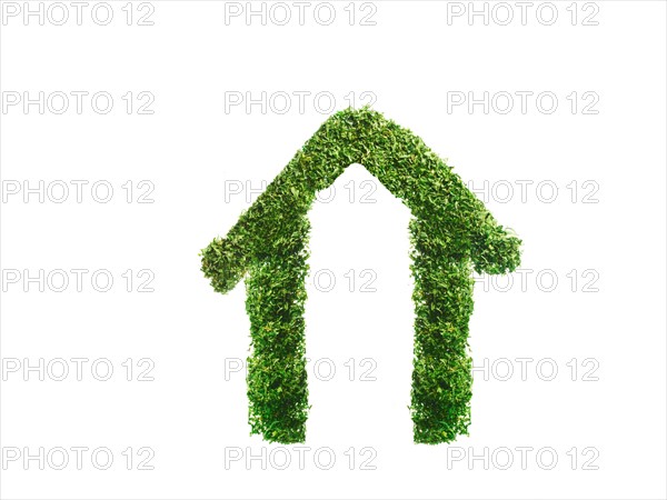 Studio shot of Parsley Flakes making house sign on white background. Photo : David Arky