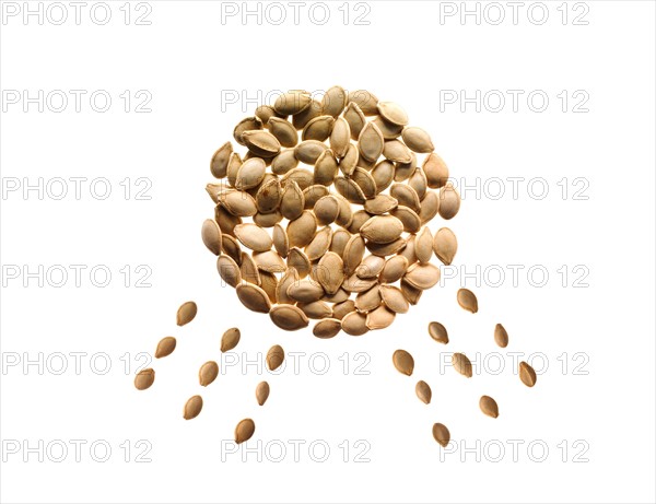 Studio shot of Pumpkin Seed in sun shape on white background. Photo: David Arky