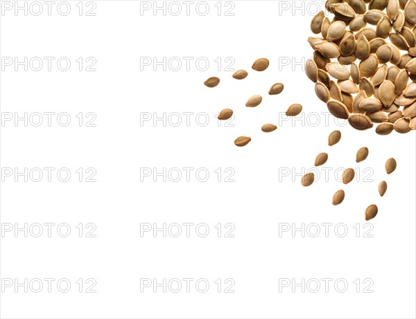 Studio shot of Pumpkin Seed in sun shape on white background. Photo : David Arky