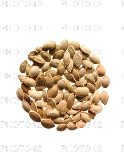 Studio shot of Pumpkin Seed on white background. Photo : David Arky