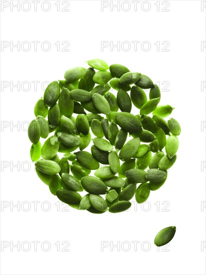 Studio shot of Pumpkin Seed on white background. Photo : David Arky